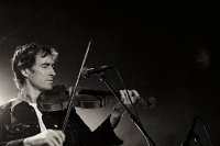 andrewbird-15925