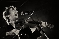 andrewbird-15953