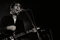 andrewbird-15961