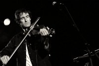 andrewbird-15991