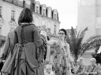 amarillis-129344