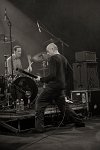Casey-hame-zone-15104