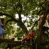 concerto-28944