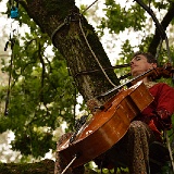 concerto-28946