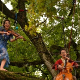concerto-29073