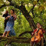 concerto-29106