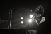 devendra-banhart-16884