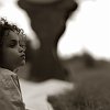 fontaine-67542