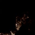 jacktheripper-48461