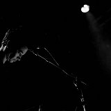 mansfieldtya-110657
