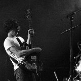 nestor-93496