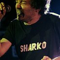 Sharko_3705