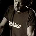 Sharko_3721