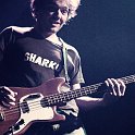 Sharko_3741