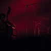 sweetback-62179