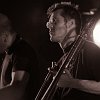 tetesraides-93086