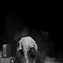 osteorock-78865