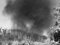 en-chantillon-36930  Portugal 2006