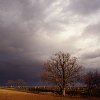 paysages-125