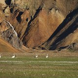 Islande-138420