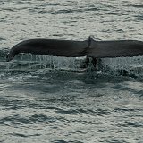 Islande-139893