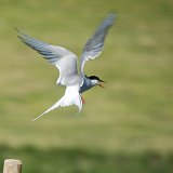 Islande-140937