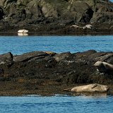 Islande-140955