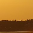 Loire39848P