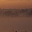 impression-08,1