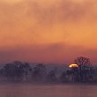 impression-329