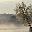 impression-60