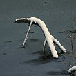 neige-1093