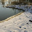 neige-1176