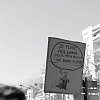 manif-8603