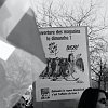manif-8617