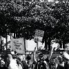 manif-8619