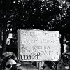 manif-8646