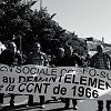 manif-8649