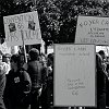 manif-8655