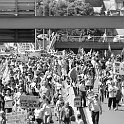 manif-54772