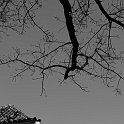 Cesky-krumlov-11141