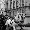 Prague-10954