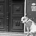 Prague-11002