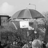 rassemblement-60720