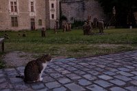 LucieLom_reveurslaval-151664