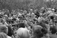 Fanfare_bithume-62360