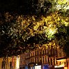 lille2004-57895