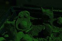 lucielom-126193