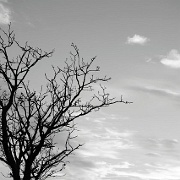 iledaix-66573