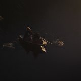 Zurchaudefonds-143819